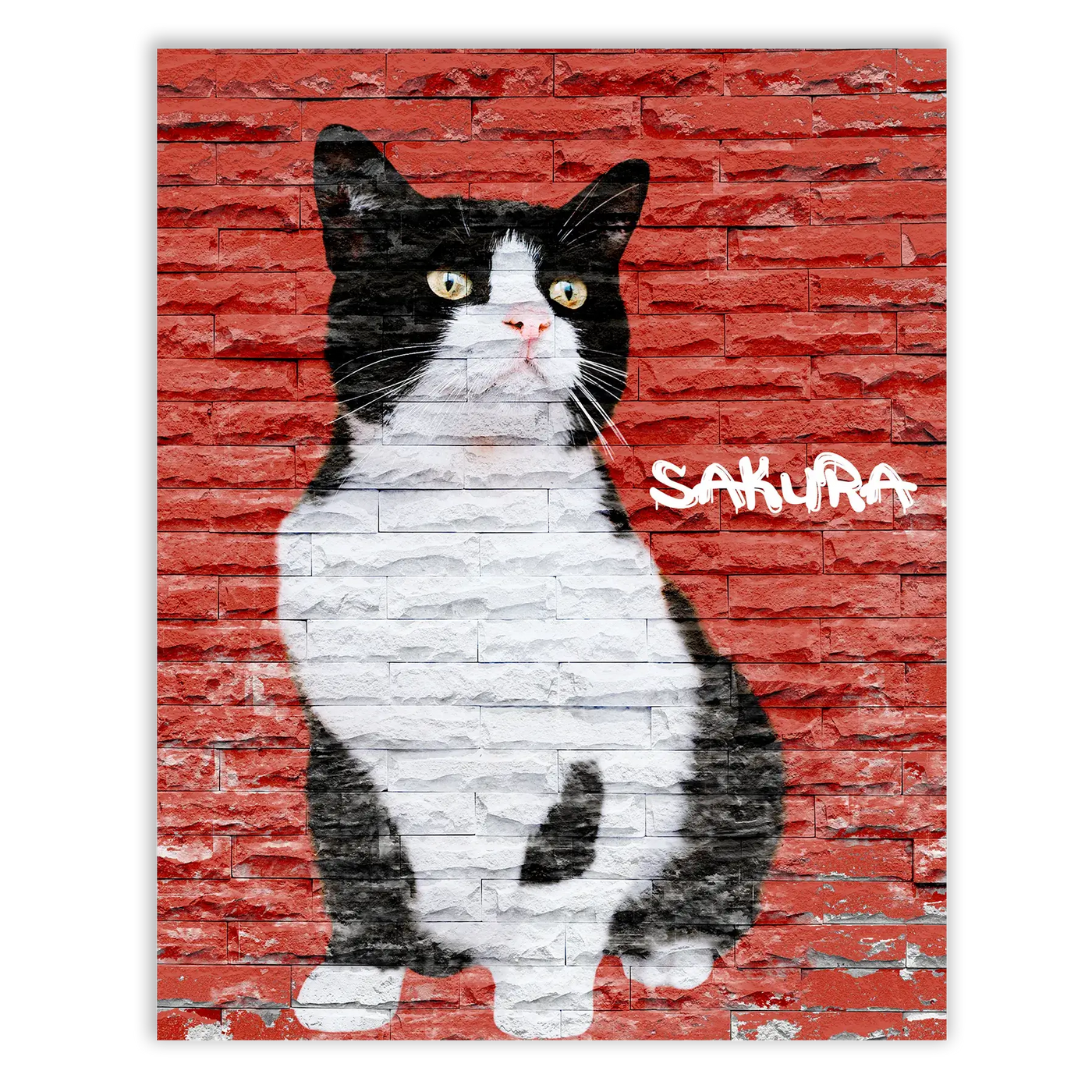 Dibujo de mascotas Urban Wall