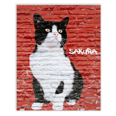 Dibujo de mascotas Urban Wall