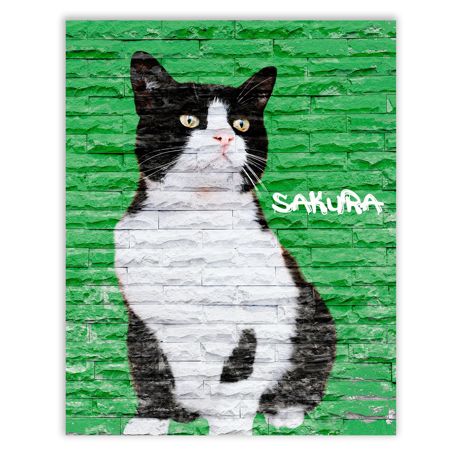 Dibujo de mascotas Urban Wall