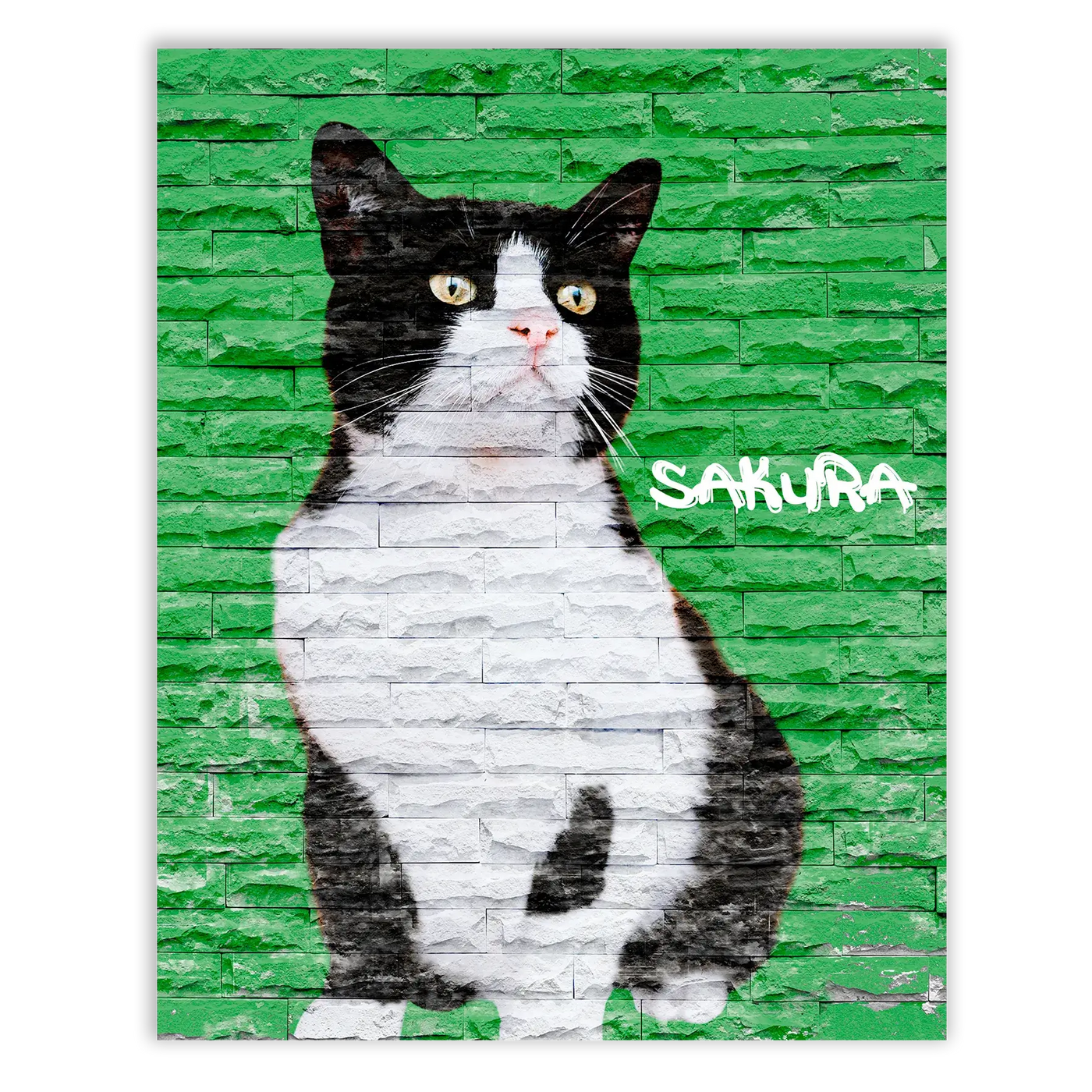 Dibujo de mascotas Urban Wall