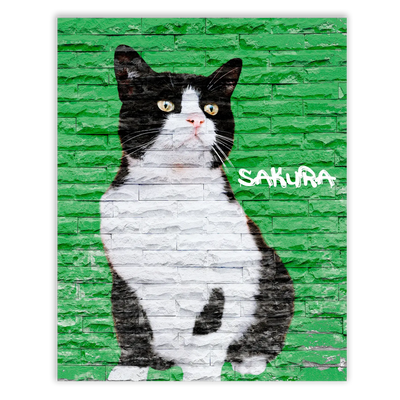 Dibujo de mascotas Urban Wall