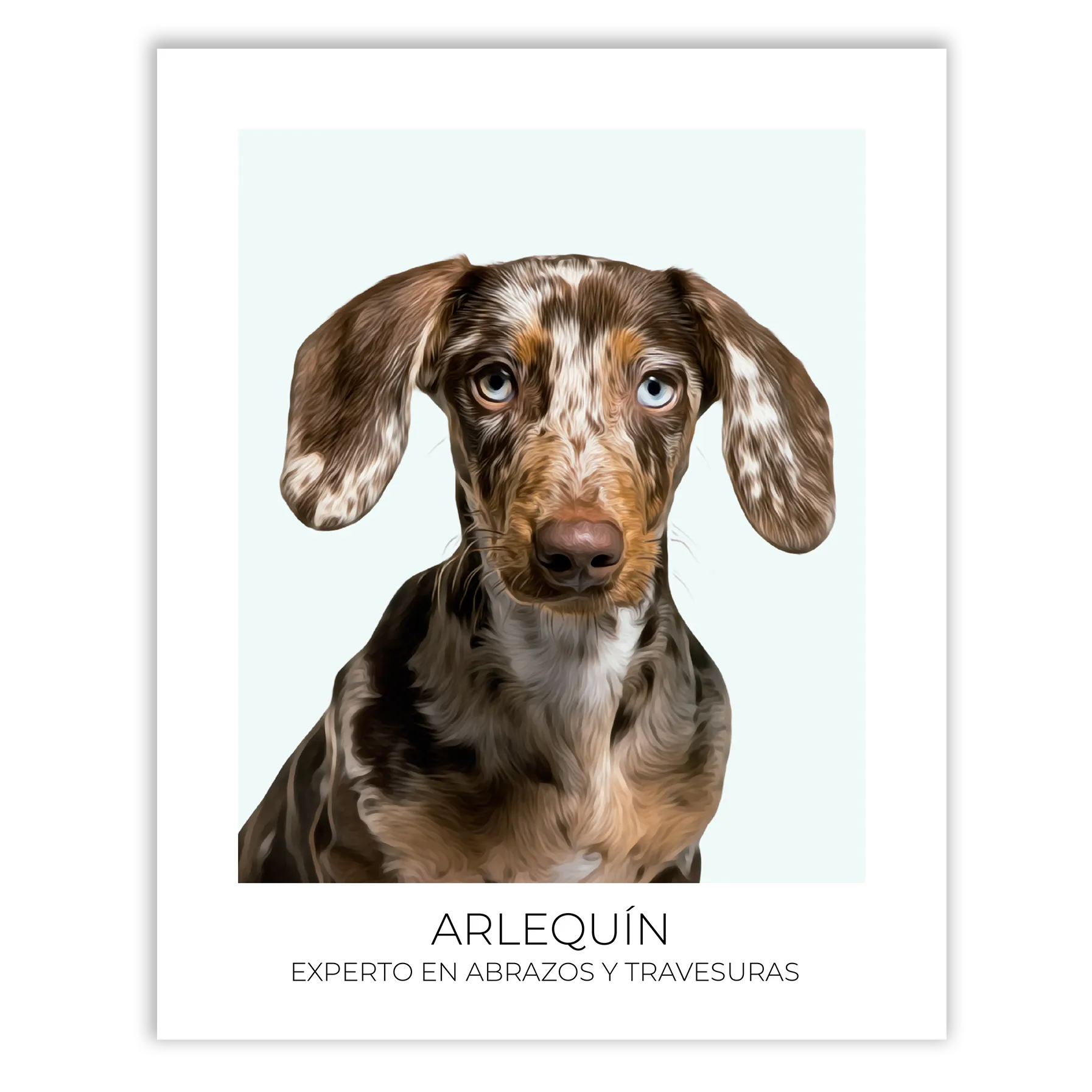 Cuadro retrato recuerdo mascotas