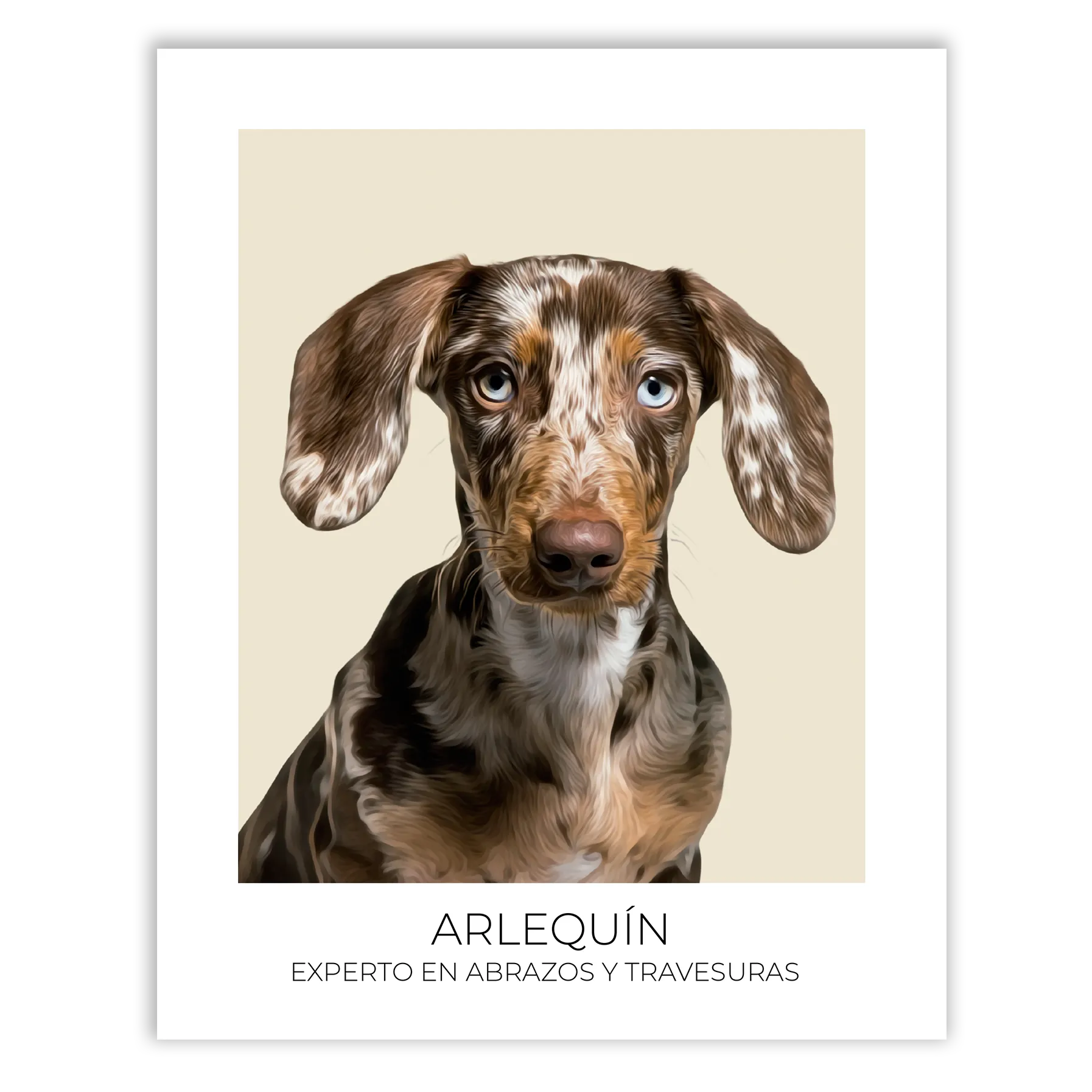 Cuadro retrato recuerdo mascotas