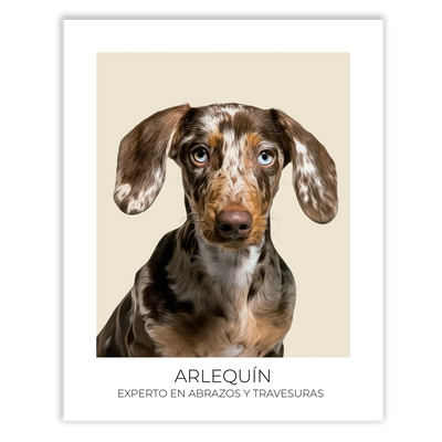 Cuadro retrato recuerdo mascotas