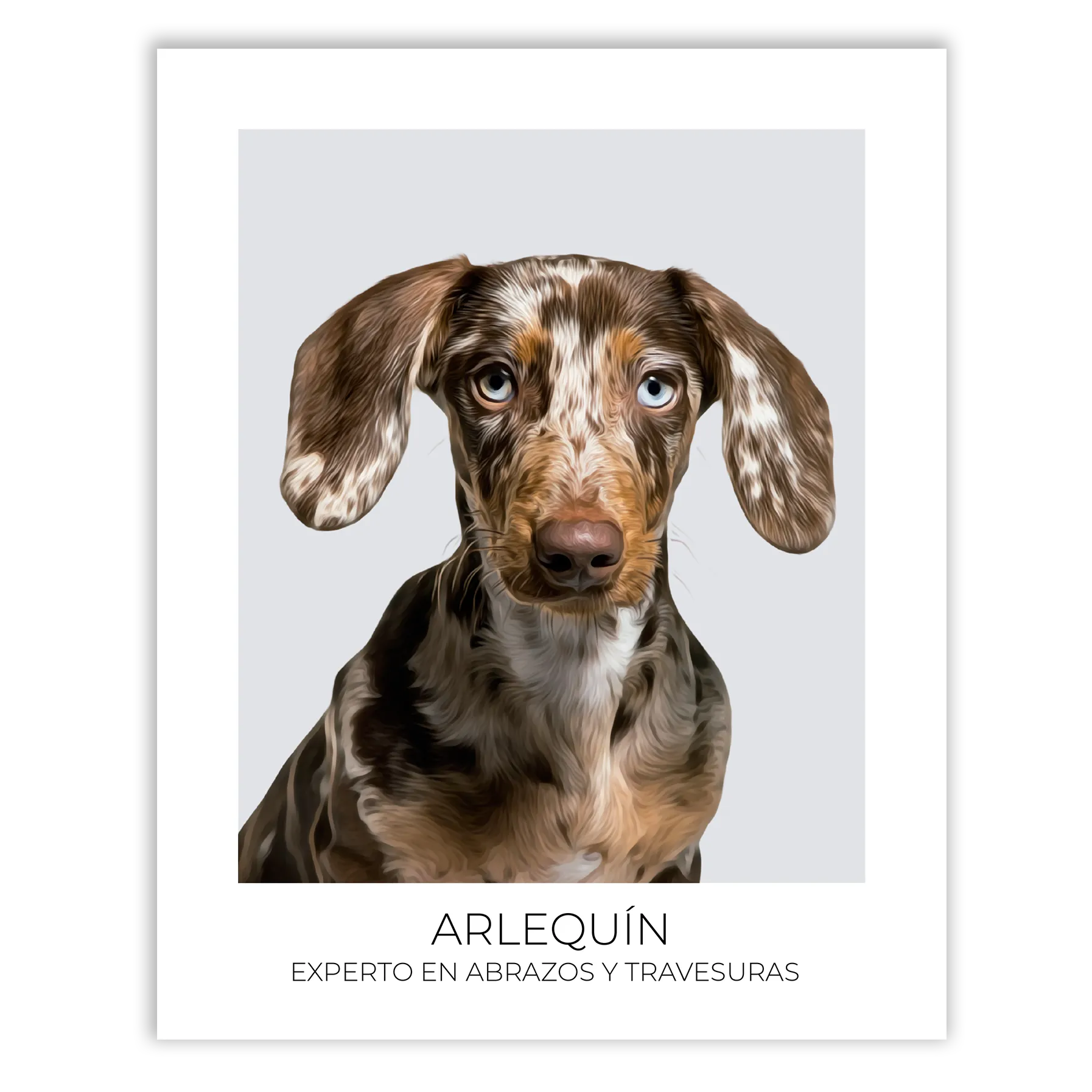 Cuadro retrato recuerdo mascotas