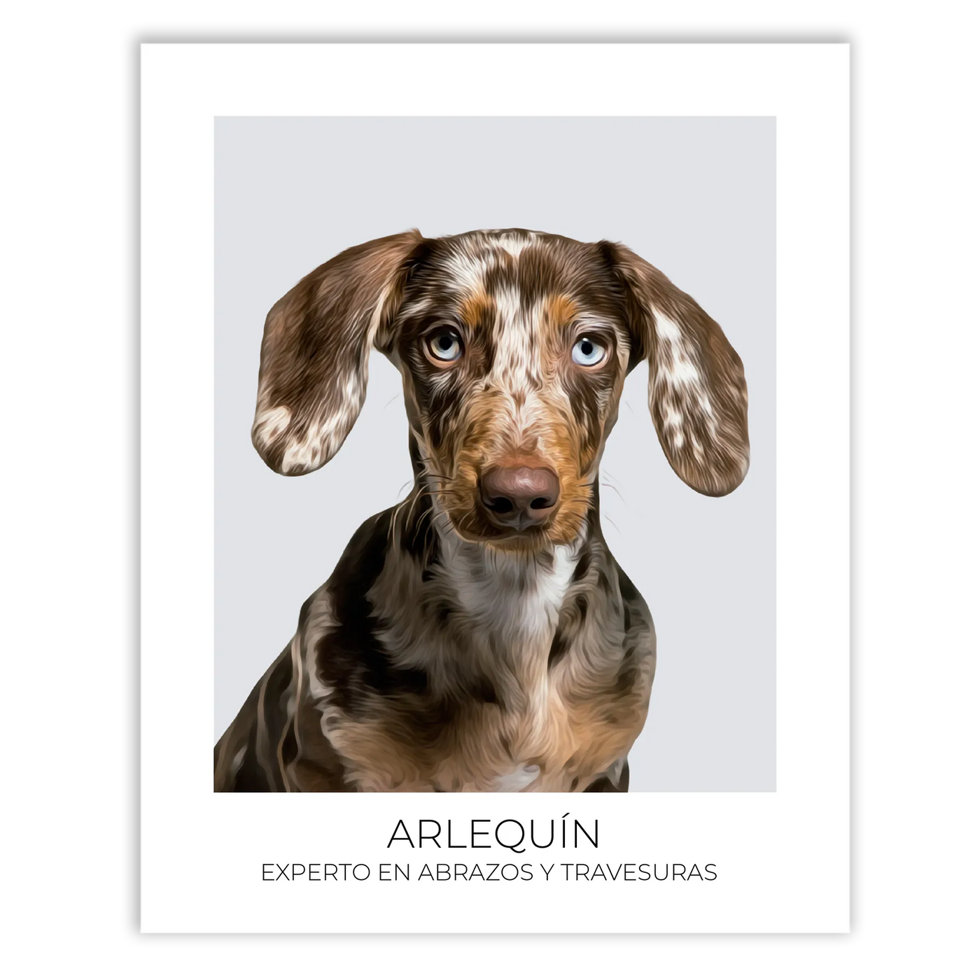Cuadro retrato recuerdo mascotas