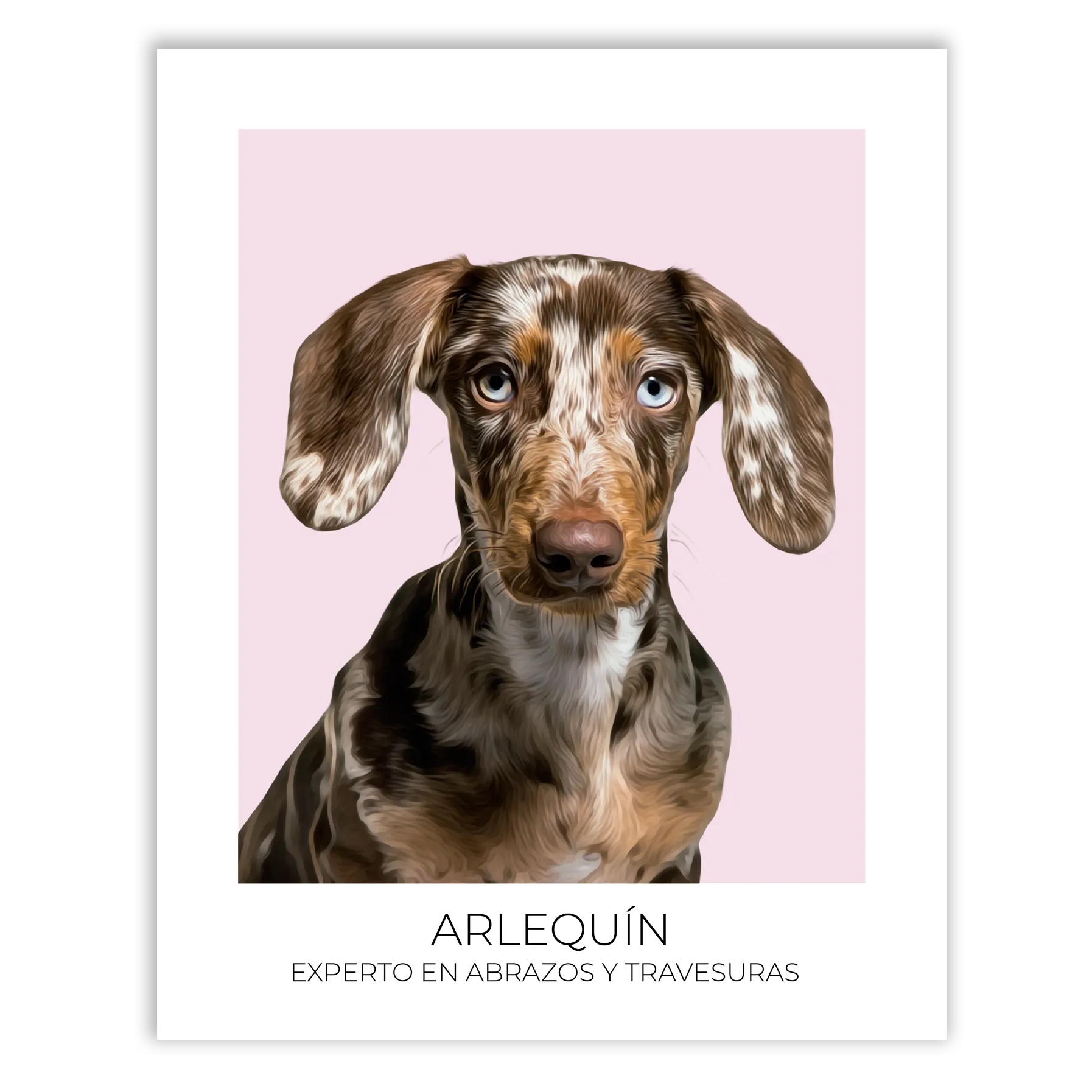 Cuadro retrato recuerdo mascotas