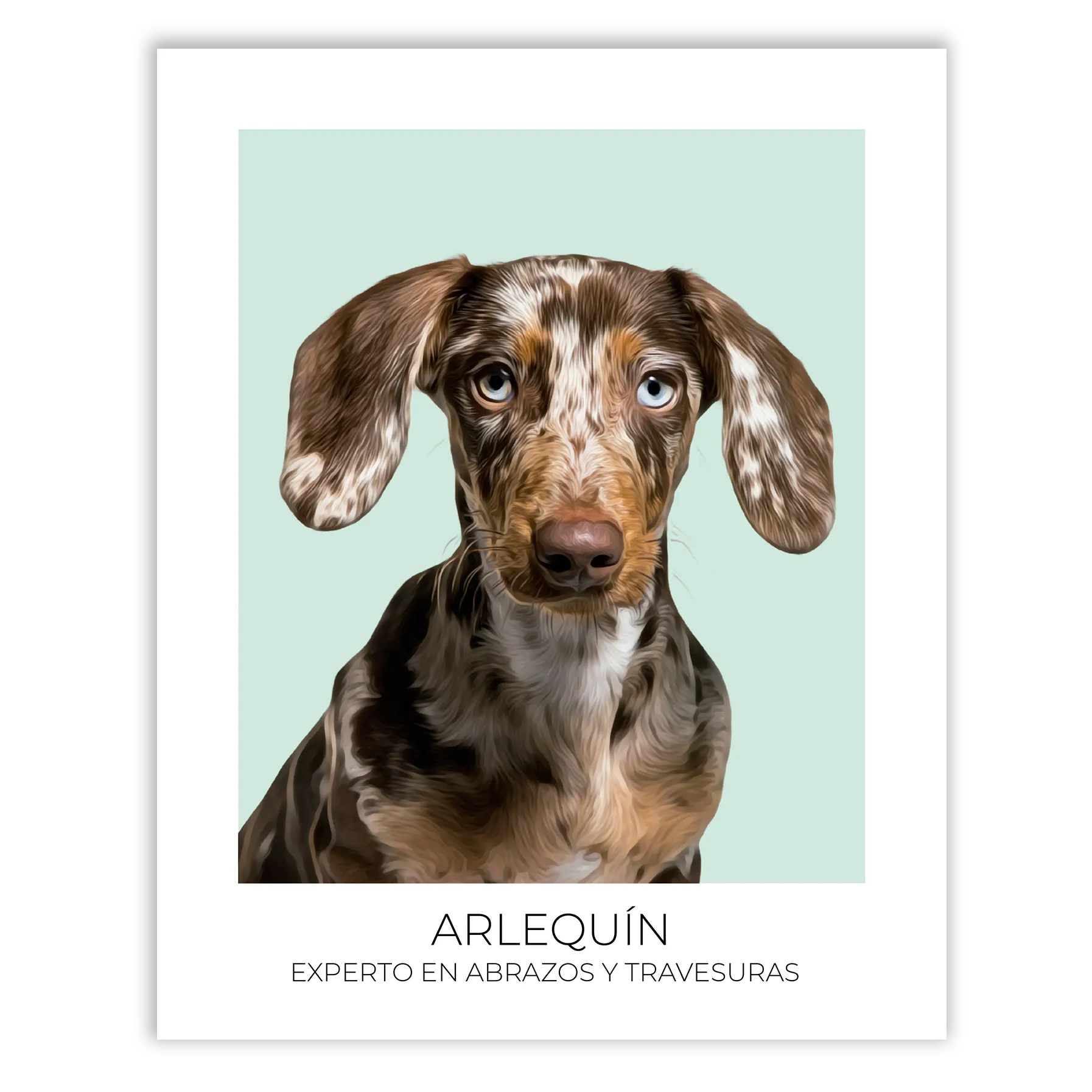 Cuadro retrato recuerdo mascotas