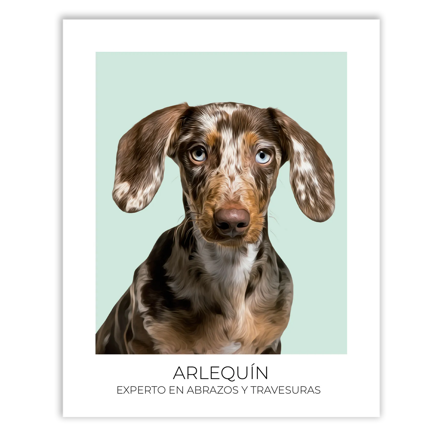 Cuadro retrato recuerdo mascotas