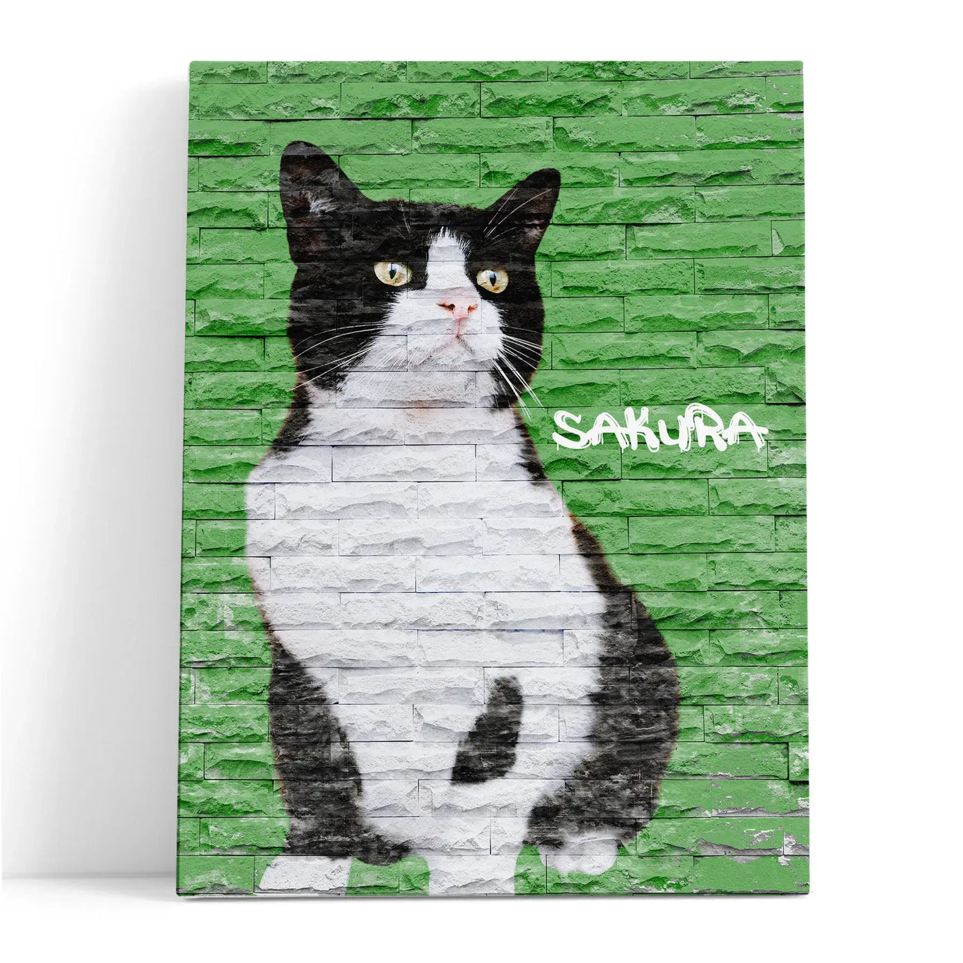 Dibujo de mascotas Urban Wall