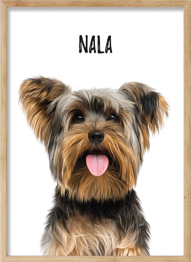 MascoZoom diseño all