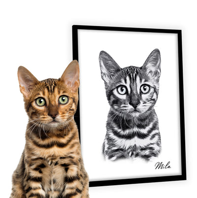 Retrato estilo lápiz de gatos