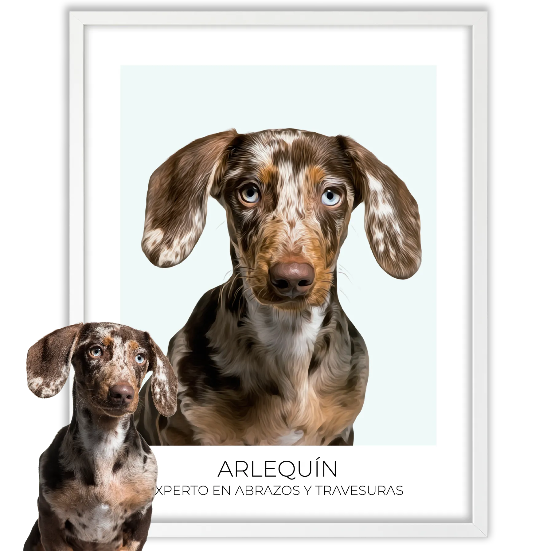 Cuadro retrato recuerdo mascotas