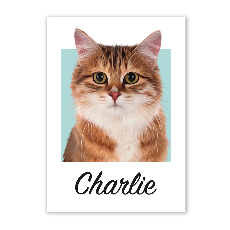 Pet portrait
