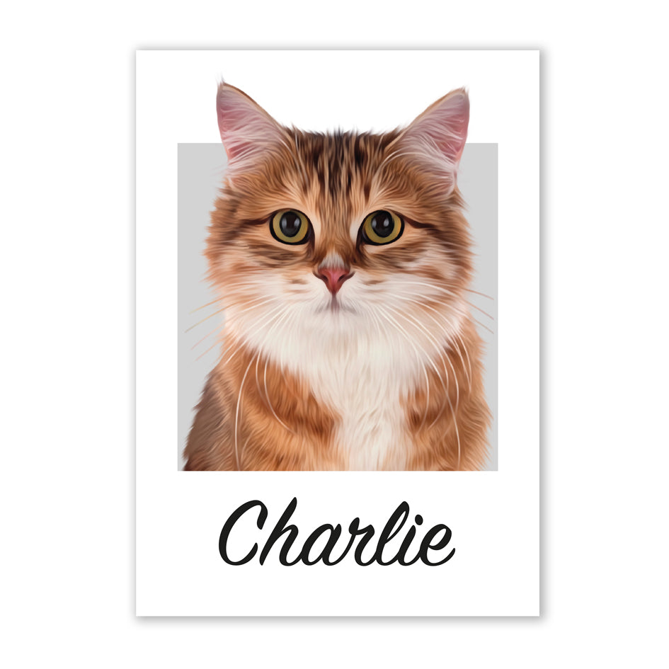 Pet portrait
