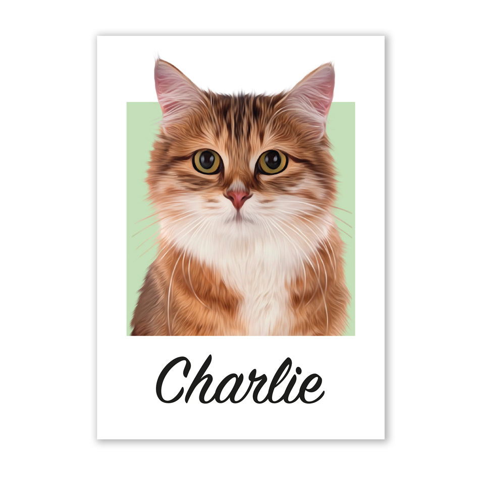 Pet portrait