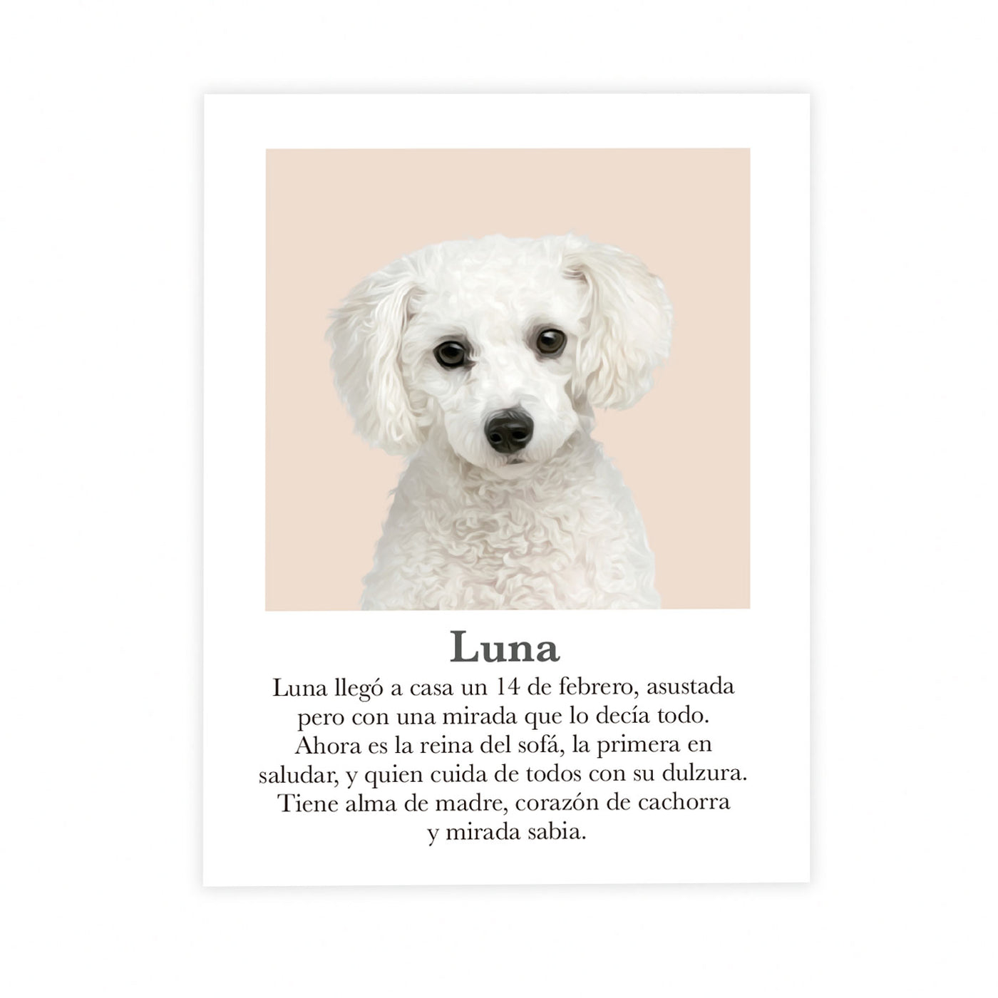 Retrato mascota con mensaje