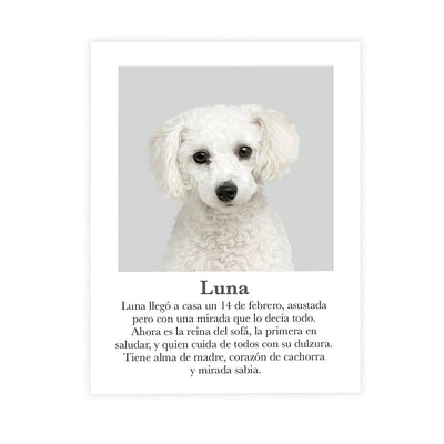 Retrato mascota con mensaje