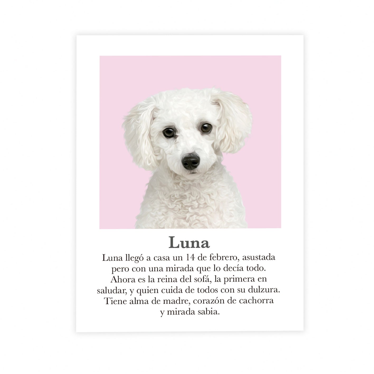 Retrato mascota con mensaje