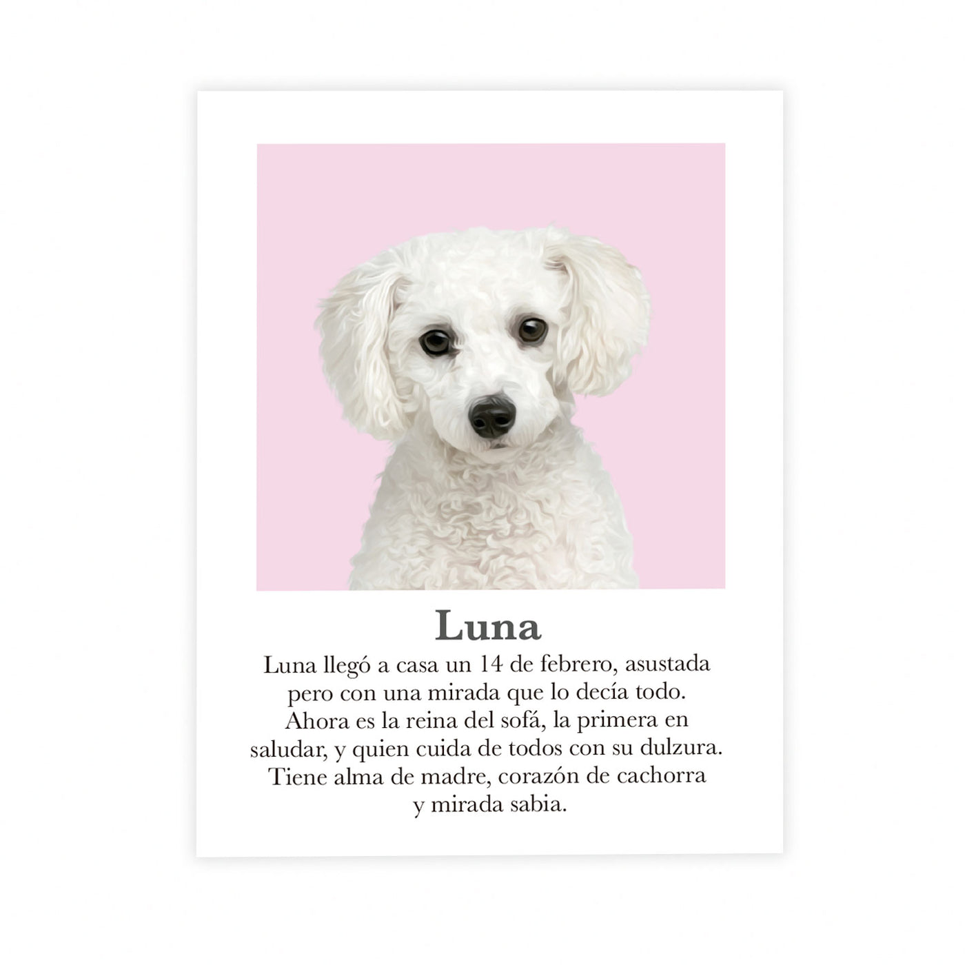 Retrato mascota con mensaje