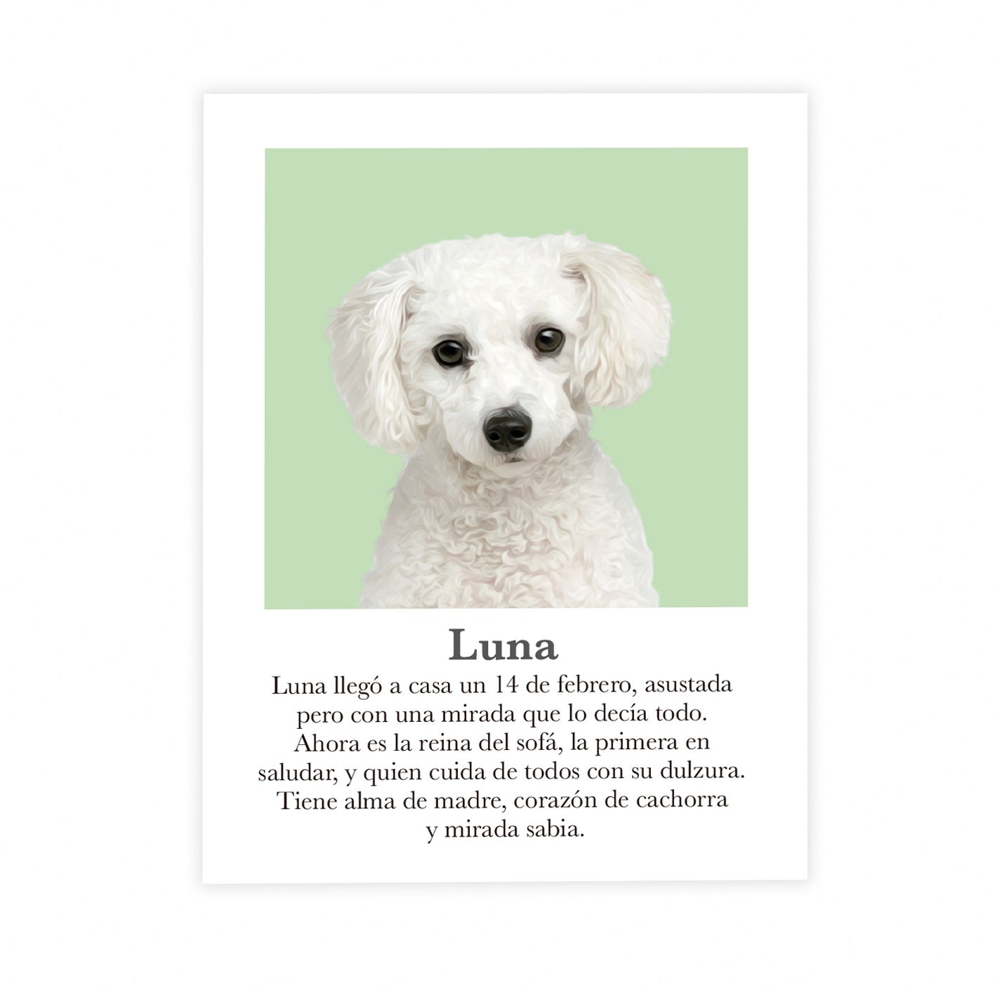 Retrato mascota con mensaje