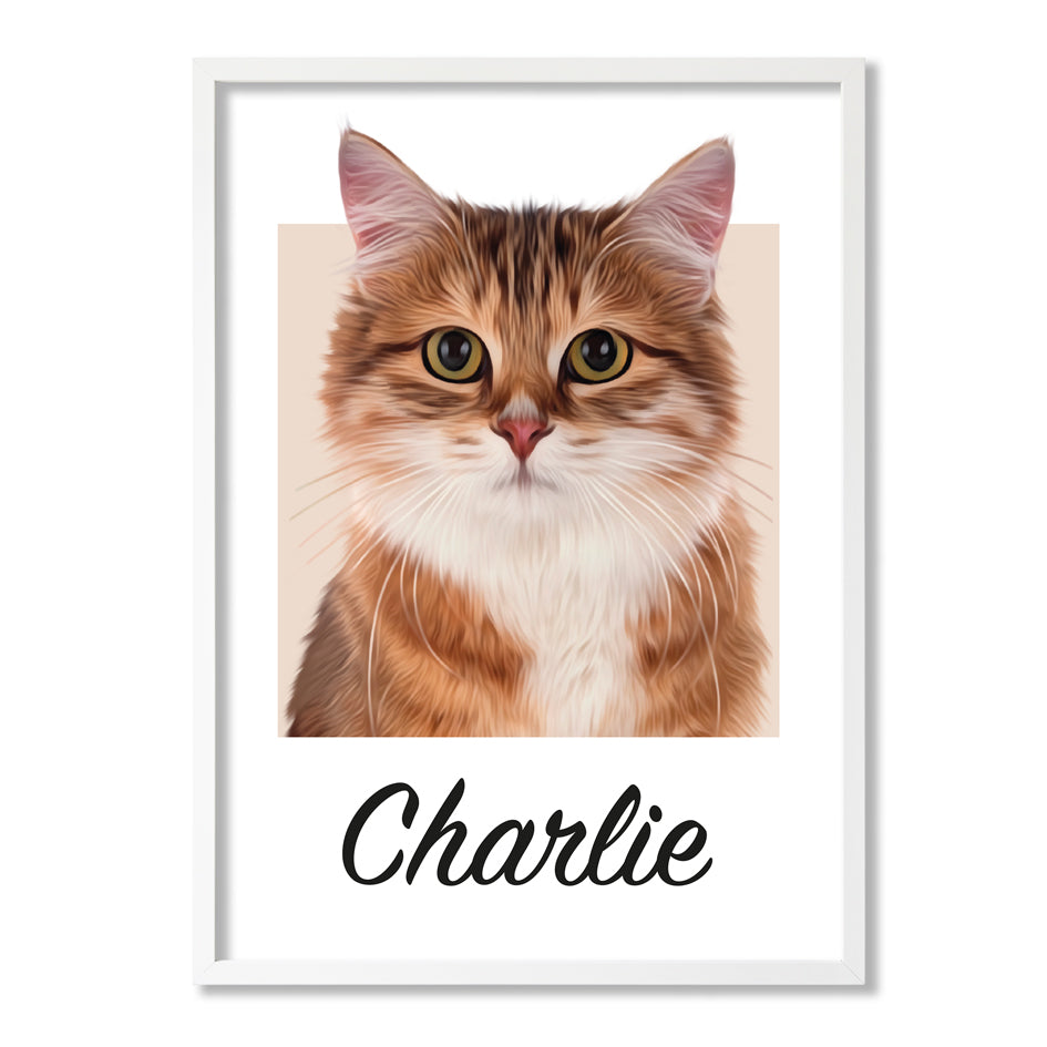 Pet portrait
