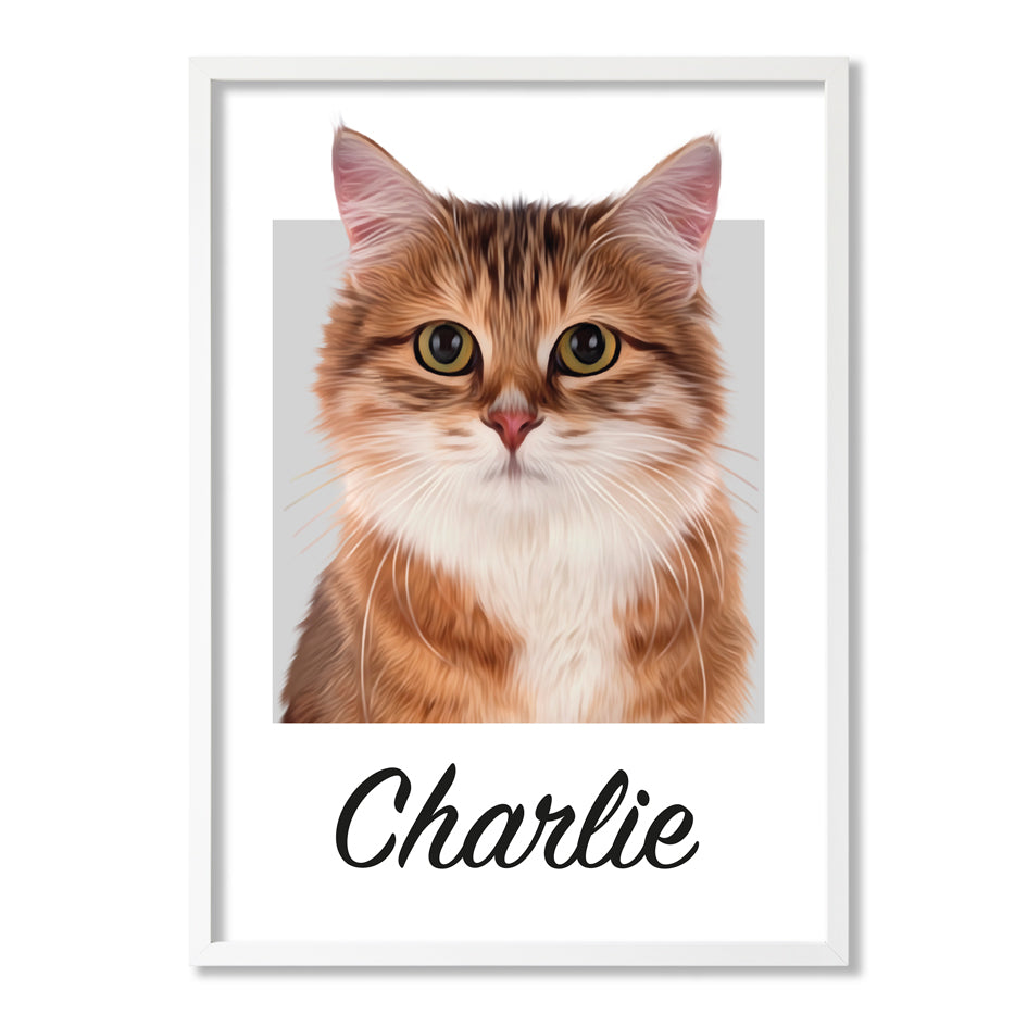 Pet portrait