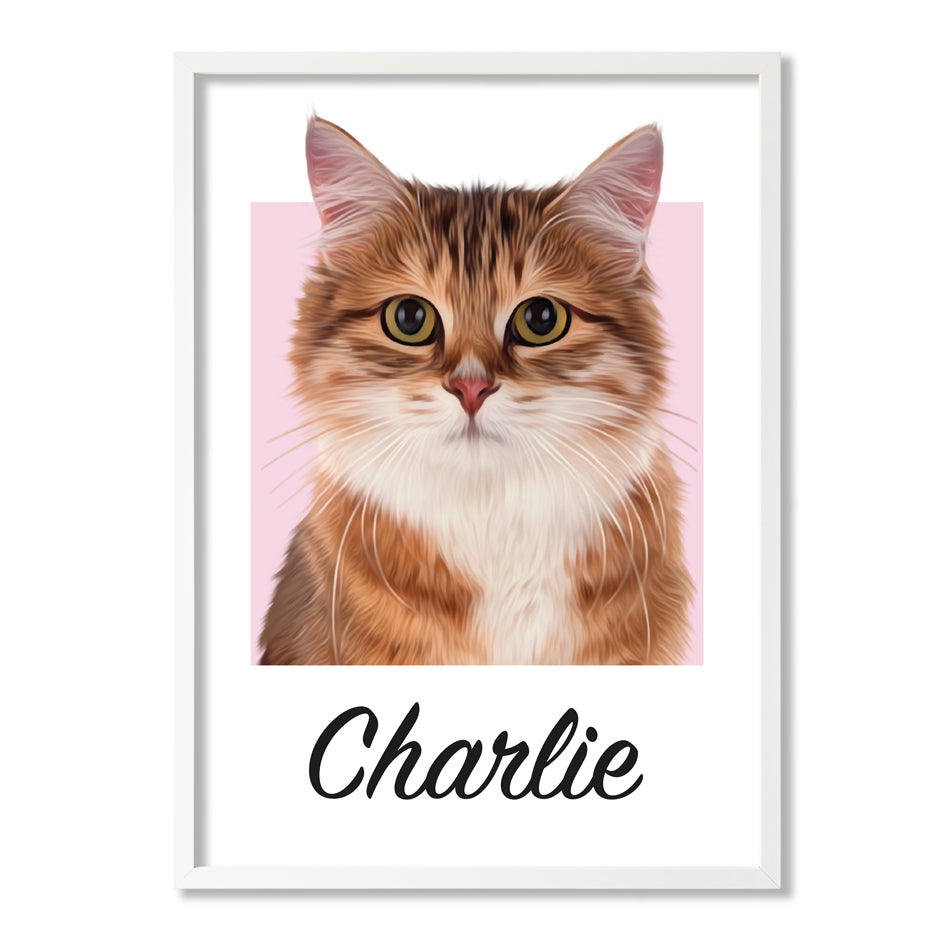 Pet portrait