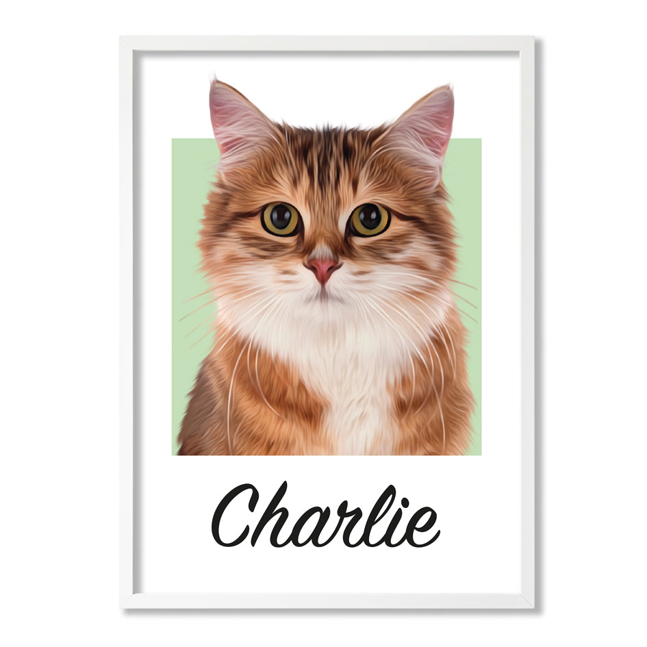 Pet portrait