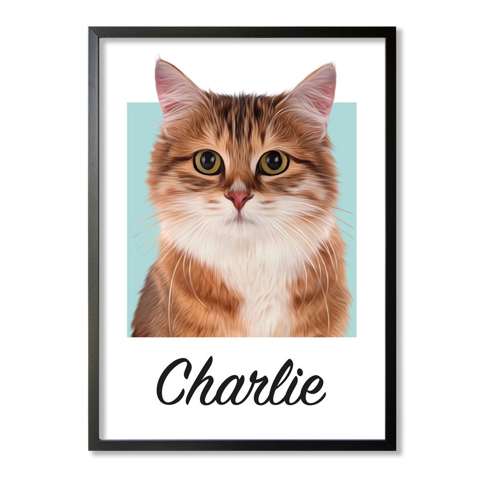 Pet portrait
