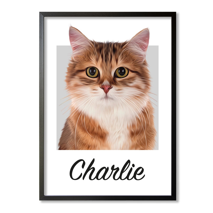 Pet portrait