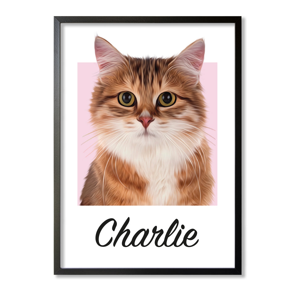 Pet portrait