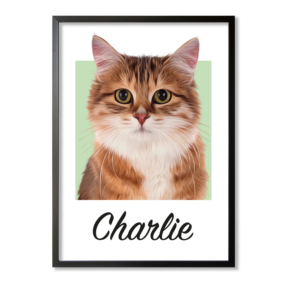 Pet portrait