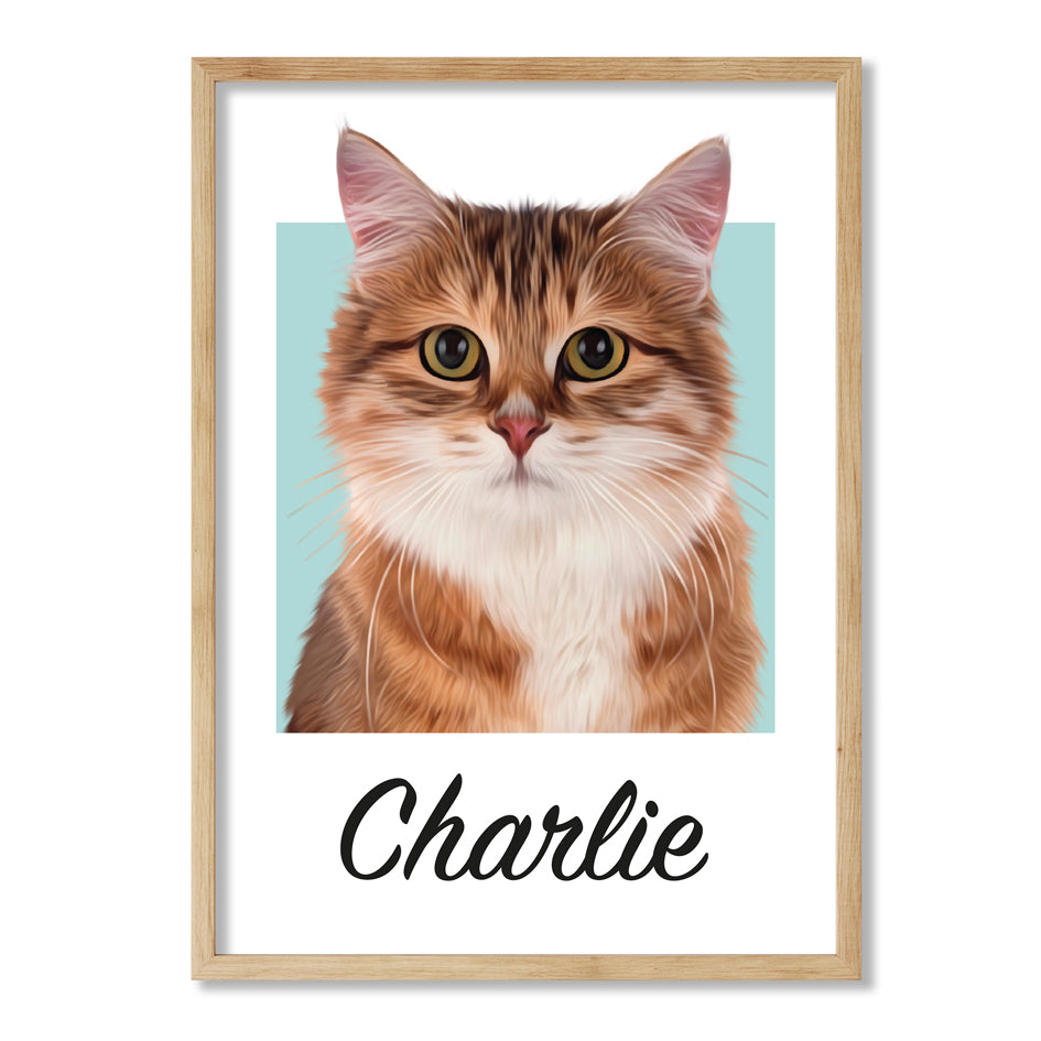 Pet portrait