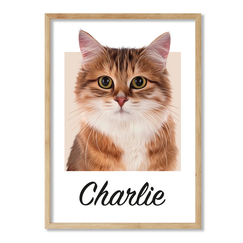 Pet portrait