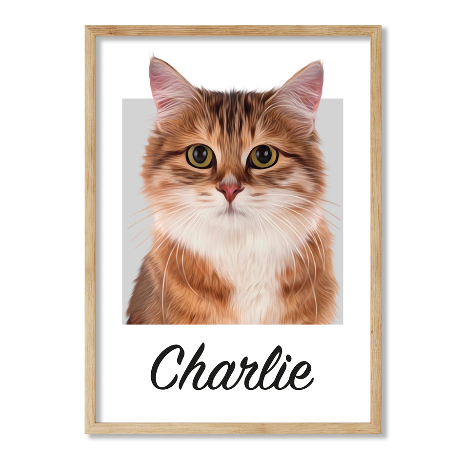 Pet portrait