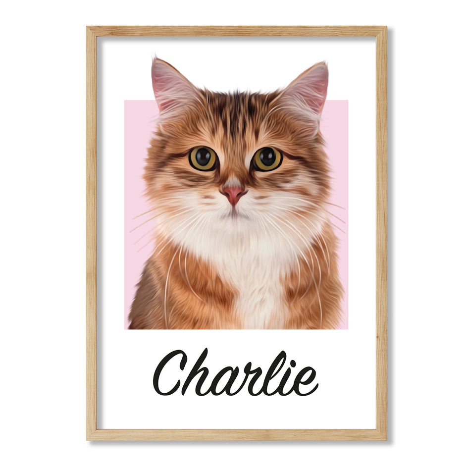 Pet portrait