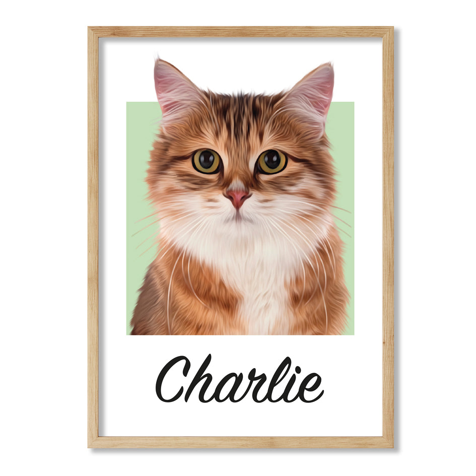 Pet portrait