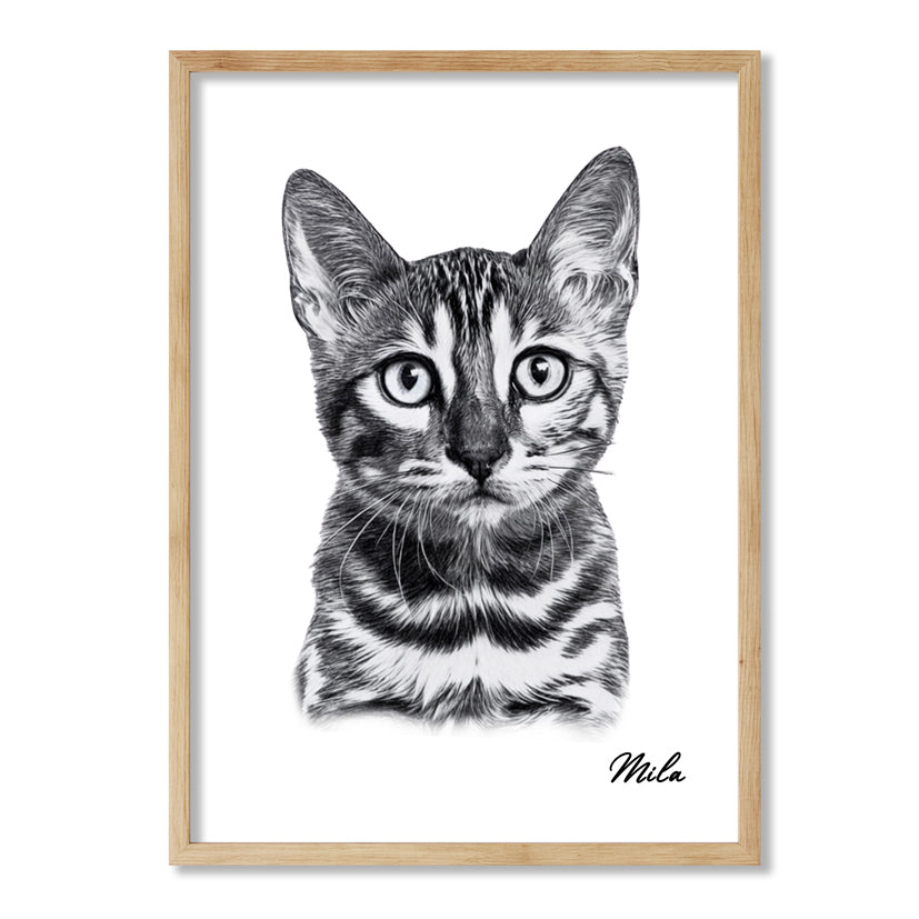 Retrato estilo lápiz de gatos