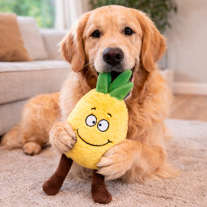 juguete para perros modelo piña con sonido jugando en casa
