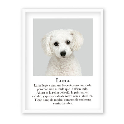 Retrato mascota con mensaje