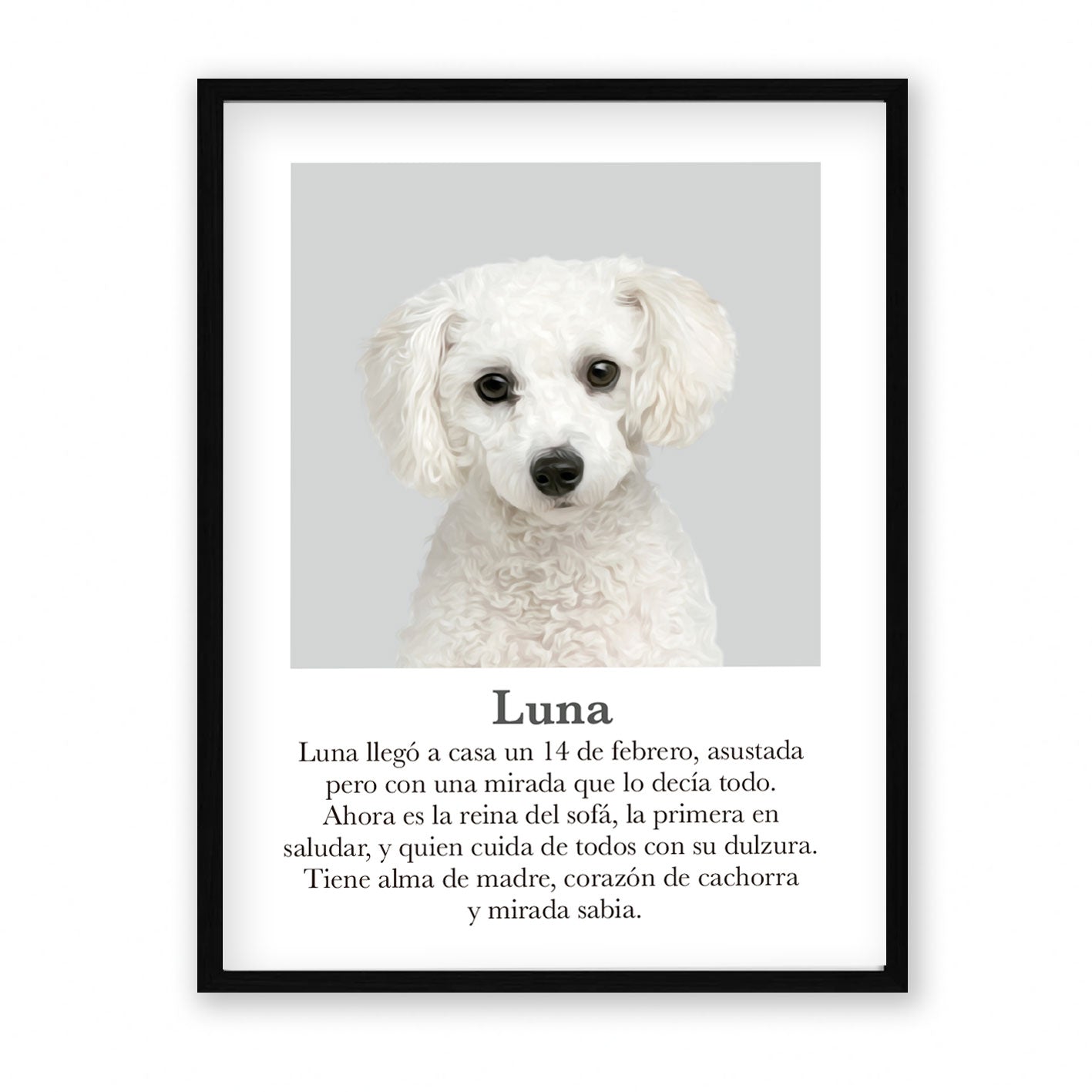 Retrato mascota con mensaje