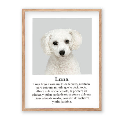 Retrato mascota con mensaje