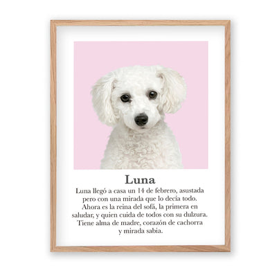 Retrato mascota con mensaje