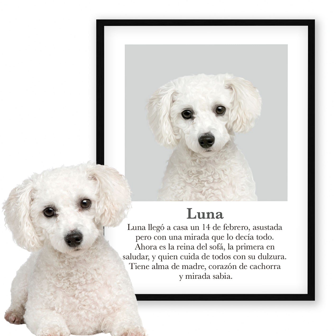 Retrato mascota con mensaje