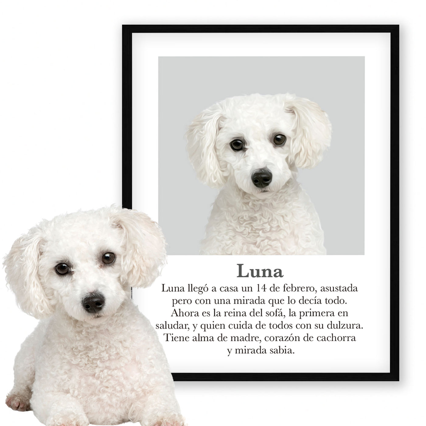 Retrato mascota con mensaje