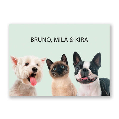 foto mascotas