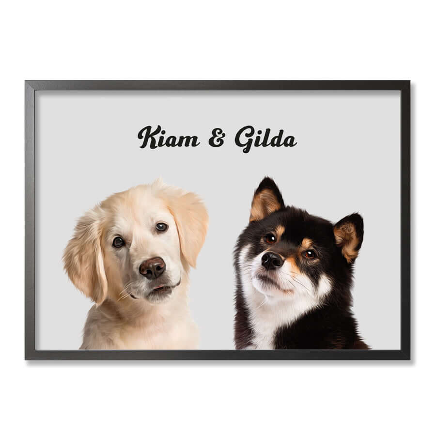 láminas de gatos