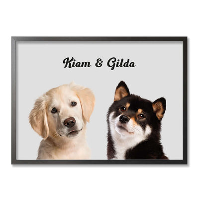 láminas de gatos