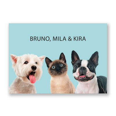regalo personalizado mascota